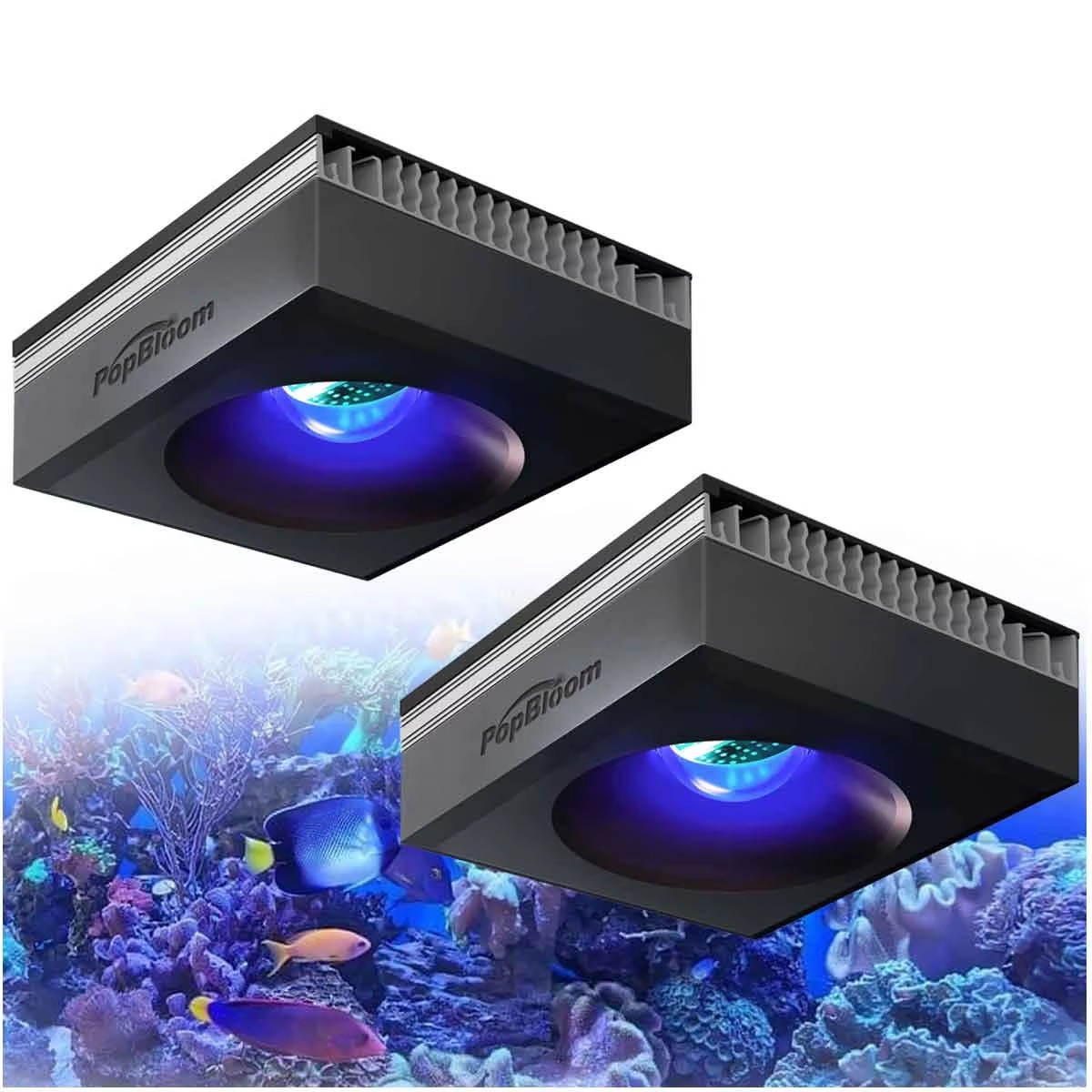 Marine Aquarium Led Lights - PopBloom RL90 WiFi Reef Aquarium Light