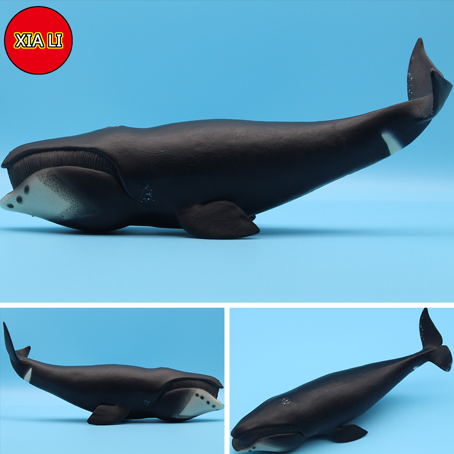Ocean Sea Life Simulation Kill - Aquarium Blue Marine 评论和价格