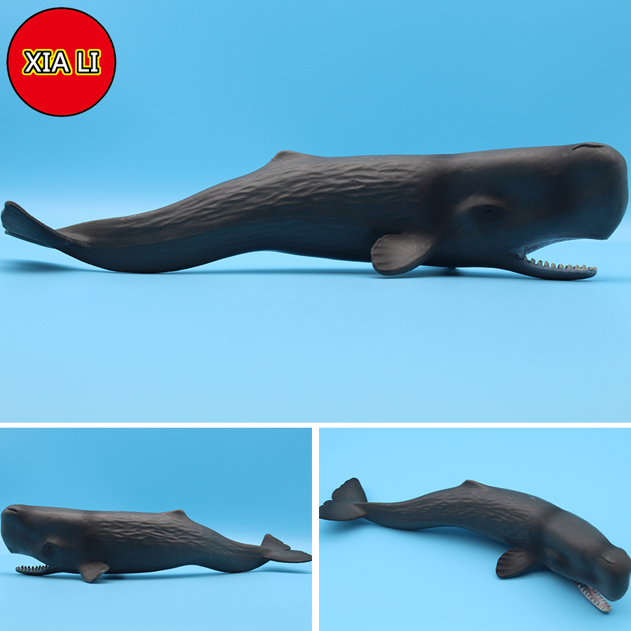 Ocean Sea Life Simulation Kill - Aquarium Blue Marine 评论和价格
