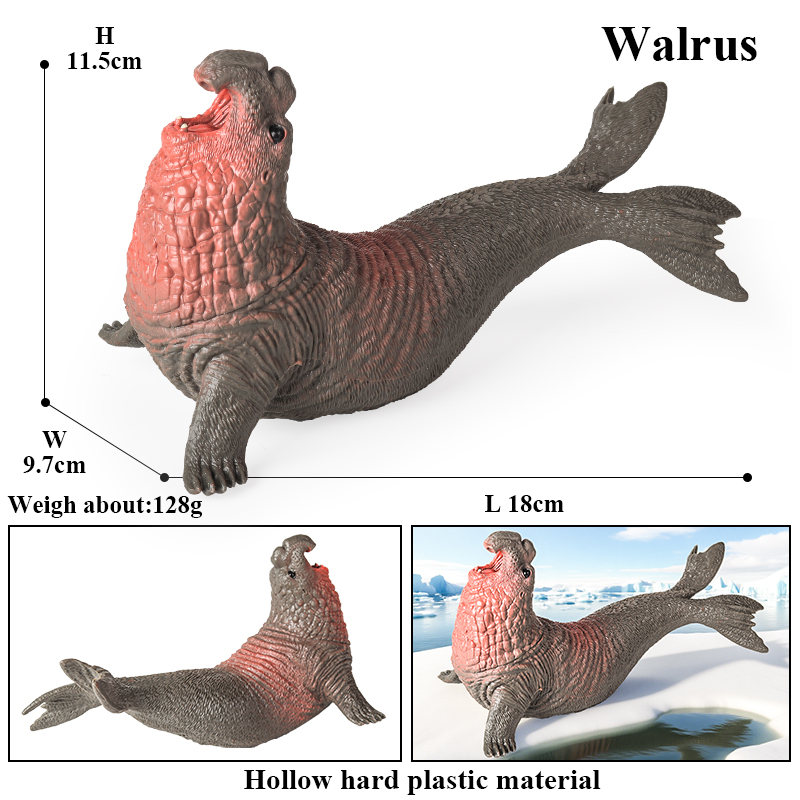 Oenux New Sea Life Seal Sea Li - Aquarium Blue Marine 评论和价格