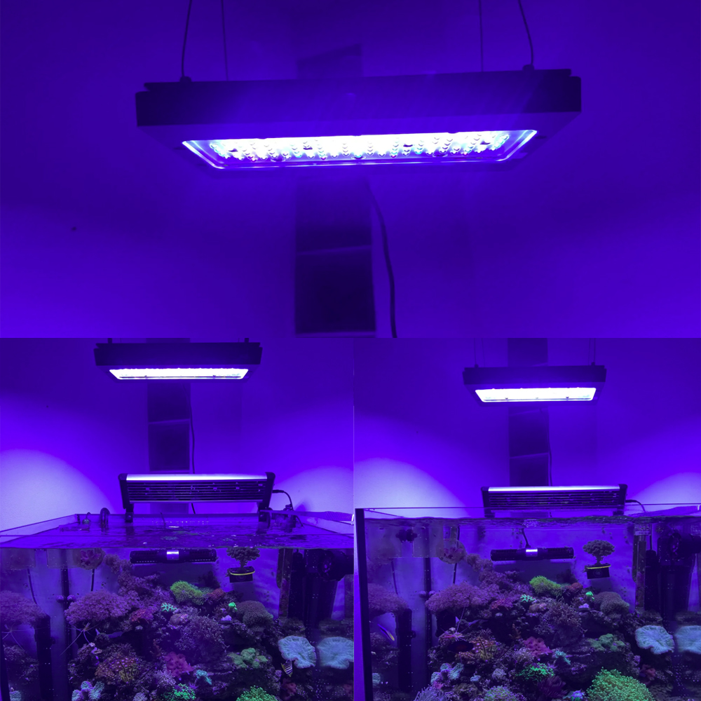 A8se Pro III MAX Blue 240W Mar - Aquarium Blue Marine 评论和价格