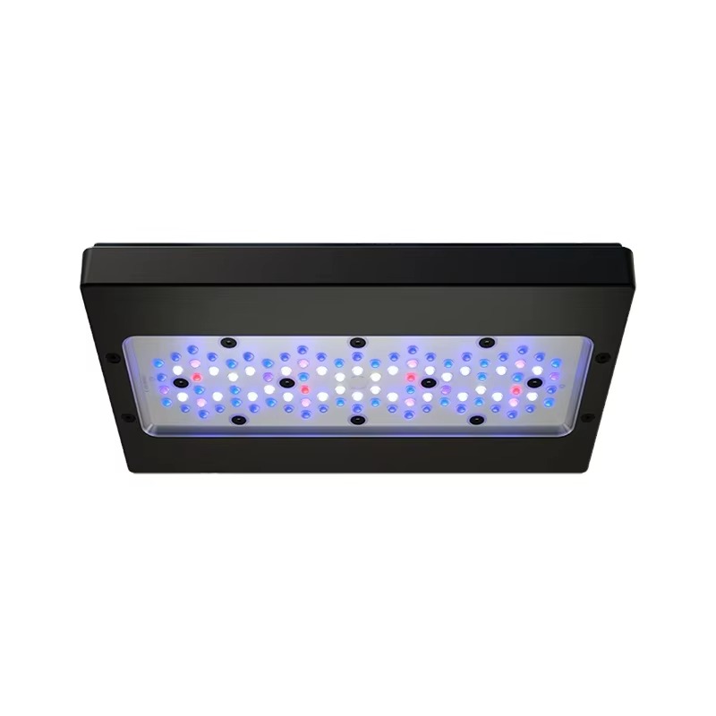 A8 Pro Blue 215W AC 110-240V W - Aquarium Blue Marine 评论和价格