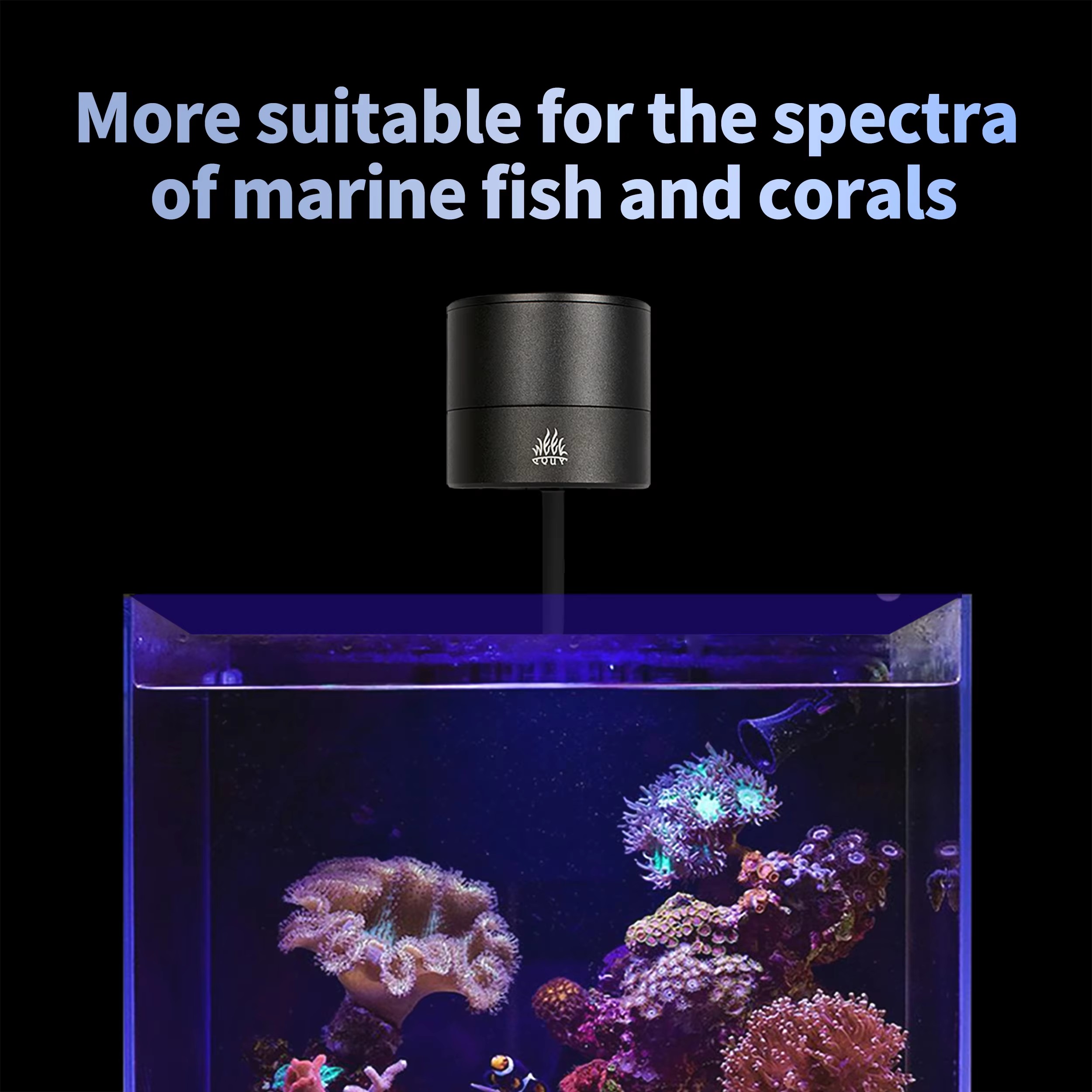 WEEK AQUA Aquarium Light Manuf - Aquarium Blue Marine 评论和价格