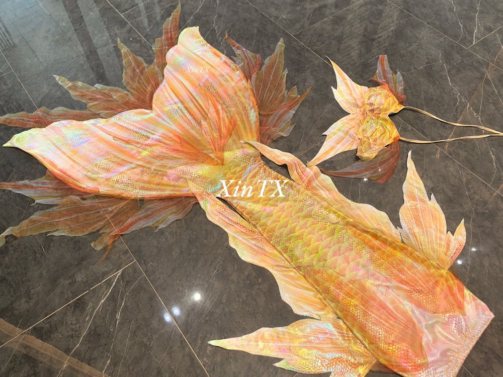 Professional adult mermaid tai - Aquarium & Marine Museum Universiti Malaysia Sabah Kota Kinabalu Sabah Photos 评论和价格