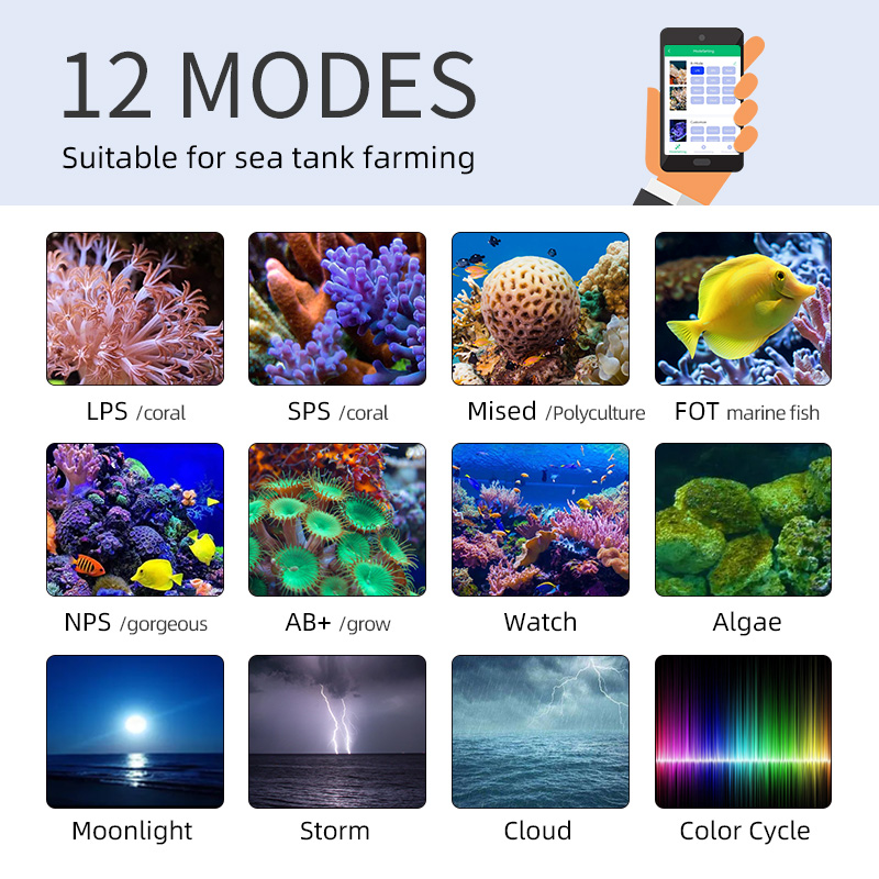 ZXY Hot Sale WEEKAQUA Z250 Z40 - Aquarium Blue Marine 评论和价格