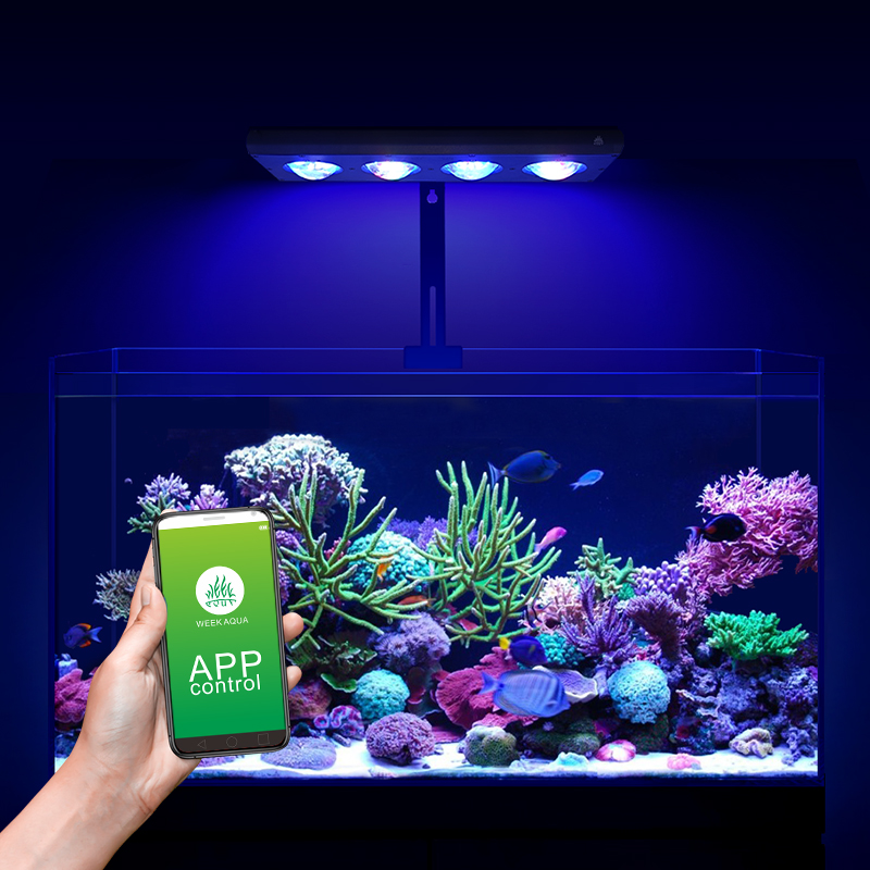 ZXY Hot Sale WEEKAQUA Z250 Z40 - Aquarium Blue Marine 评论和价格