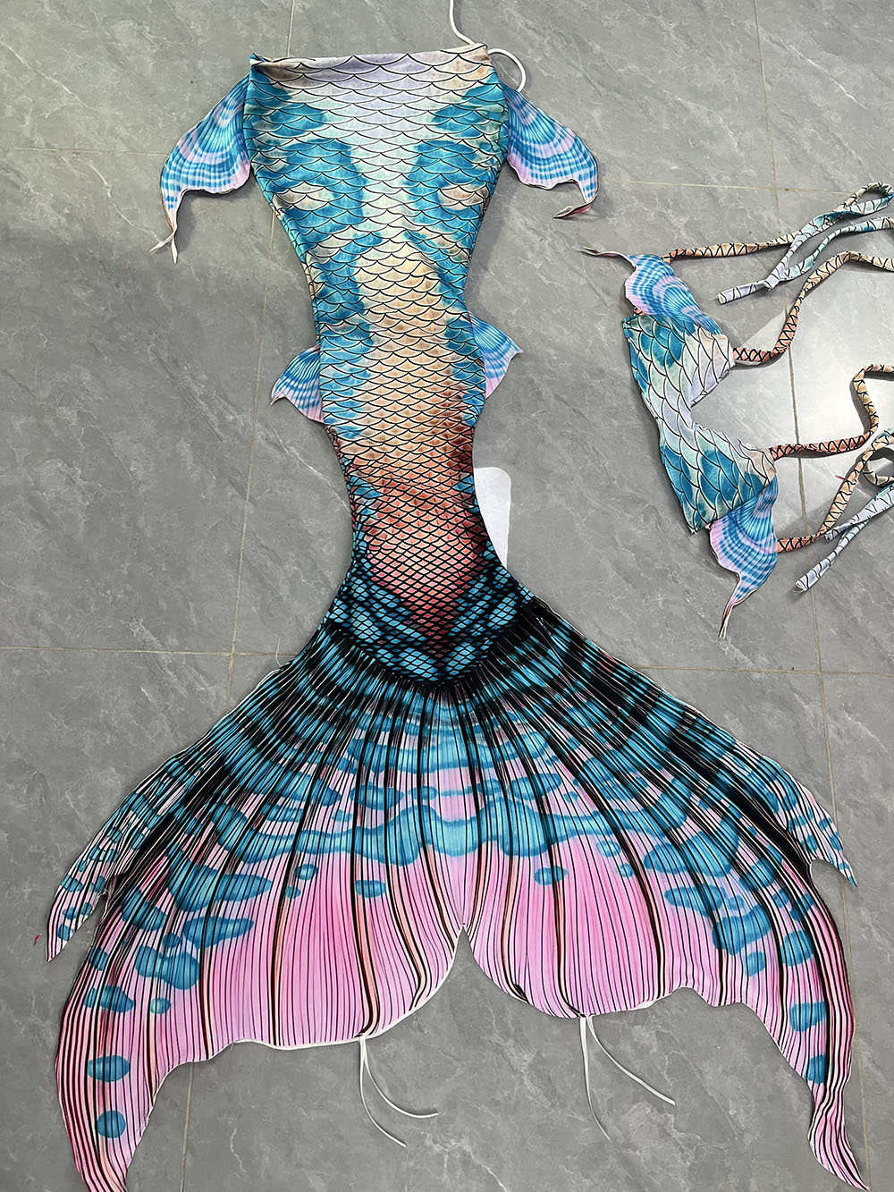 Colorful Dreamy Mermaid Tail A - Aquarium & Marine Museum Universiti Malaysia Sabah Kota Kinabalu Sabah Photos 评论和价格