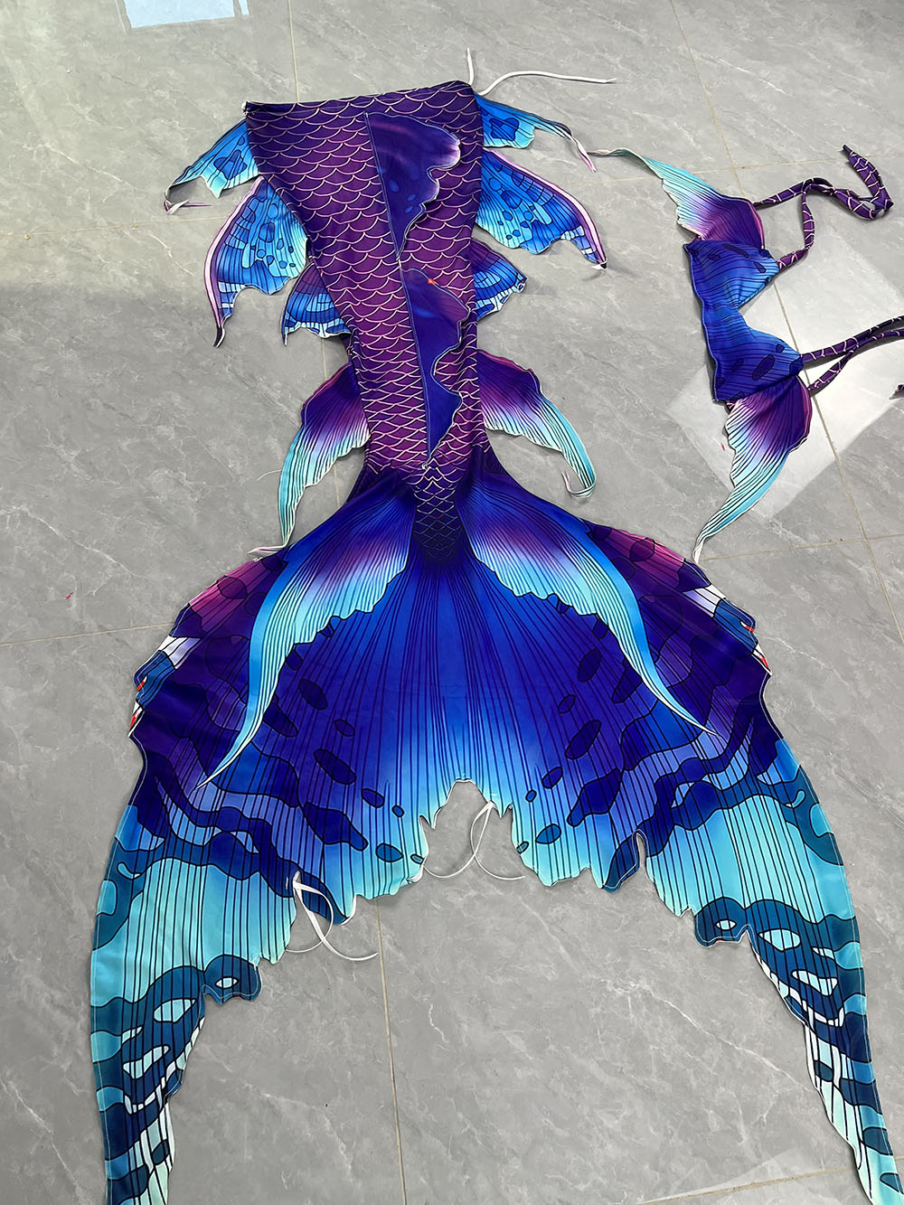 Colorful Dreamy Mermaid Tail A - Aquarium & Marine Museum Universiti Malaysia Sabah Kota Kinabalu Sabah Photos 评论和价格