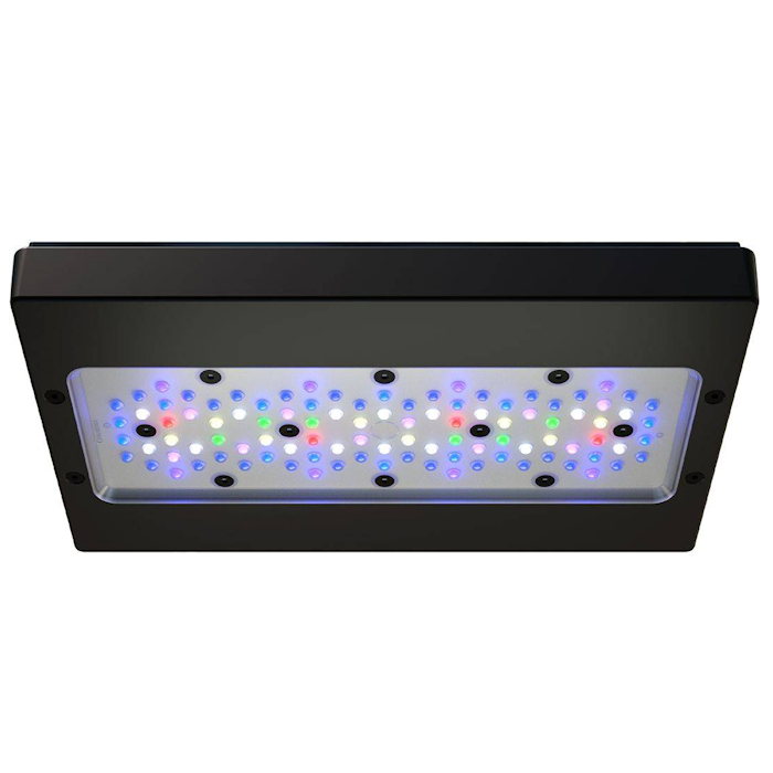 Applicable to A8 PRO III Max a - Aquarium Blue Marine 评论和价格