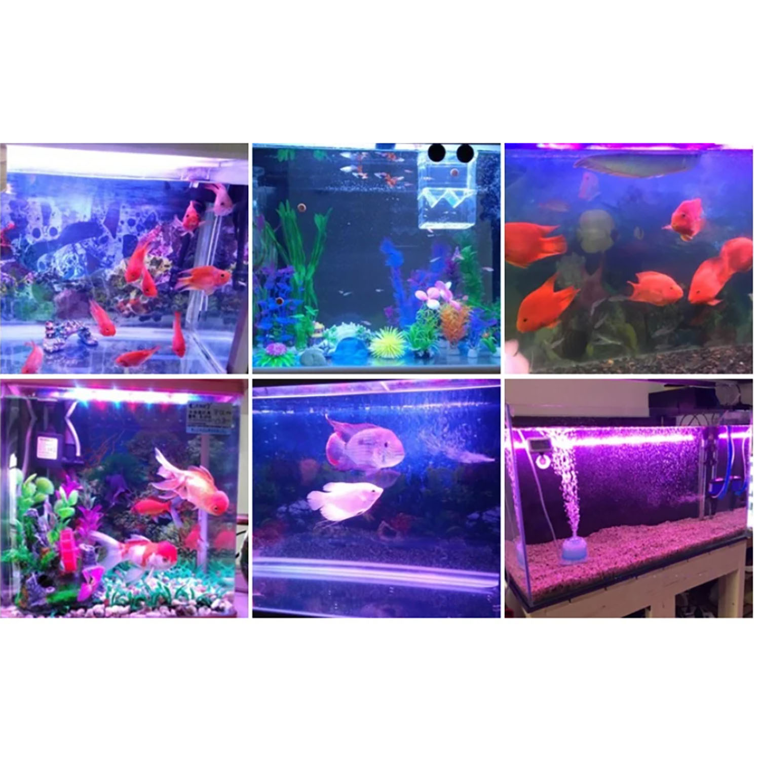 50W 60W 70W 100W RGB 26-28V Hi - Aquarium Blue Marine 评论和价格