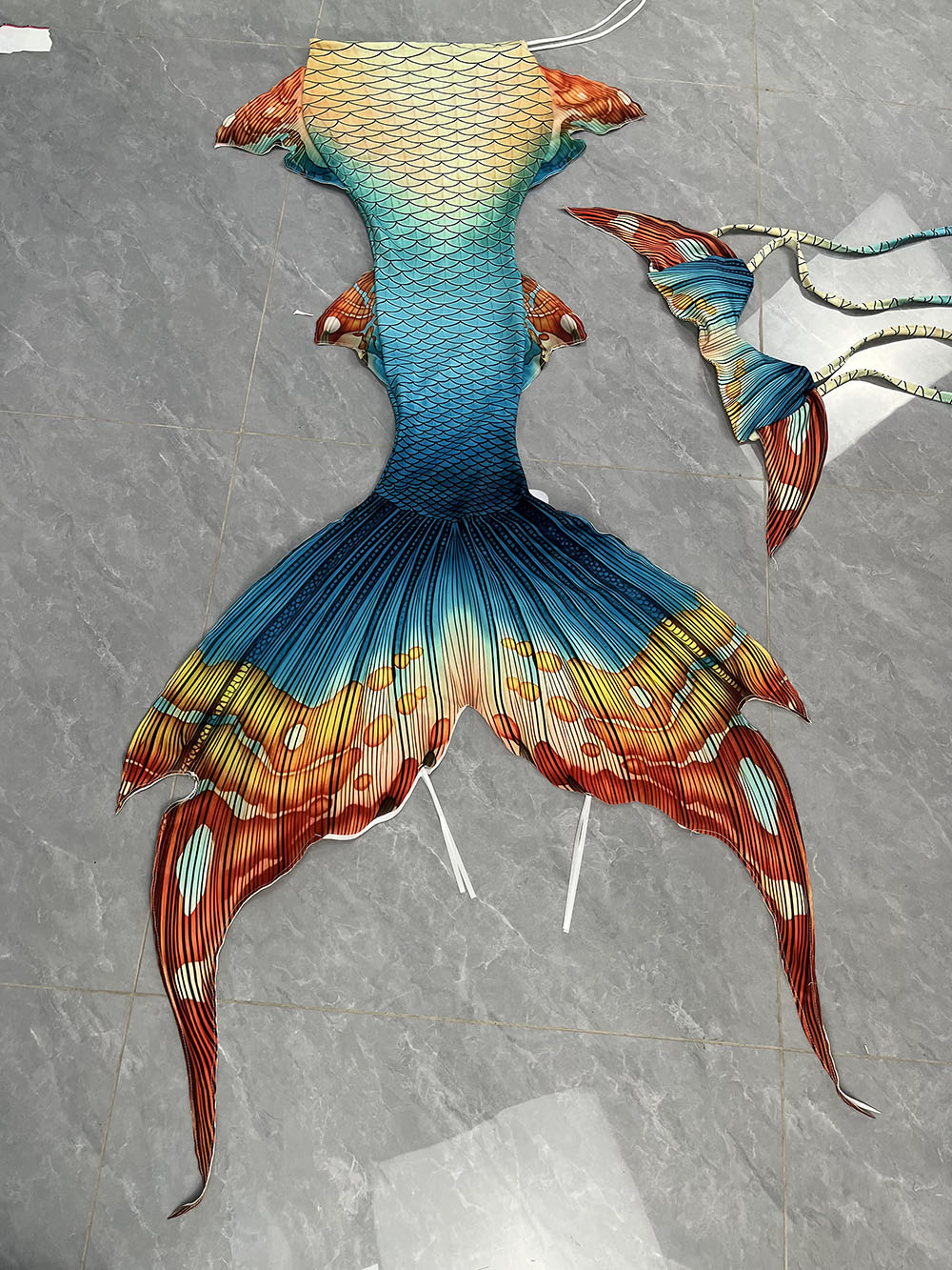 New Pattern Mermaid Tail Merma - Aquarium & Marine Museum Universiti Malaysia Sabah Kota Kinabalu Sabah Photos 评论和价格
