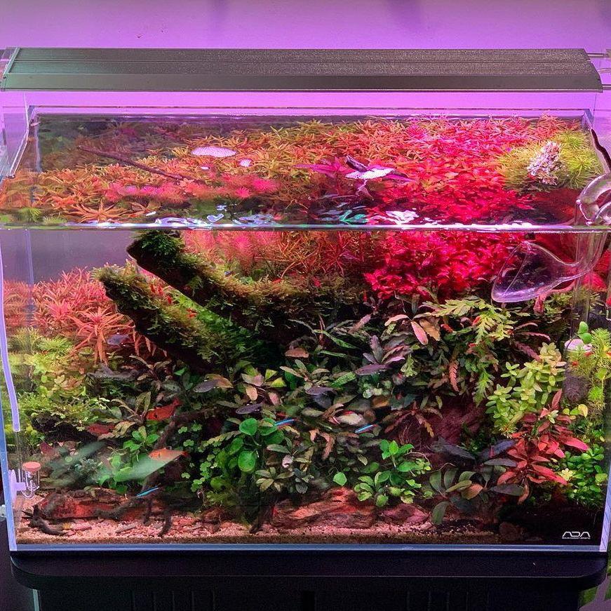 WEEK AQUA Aquarium Led Vivid L - Marine Aquarium Led Lights 评论和价格